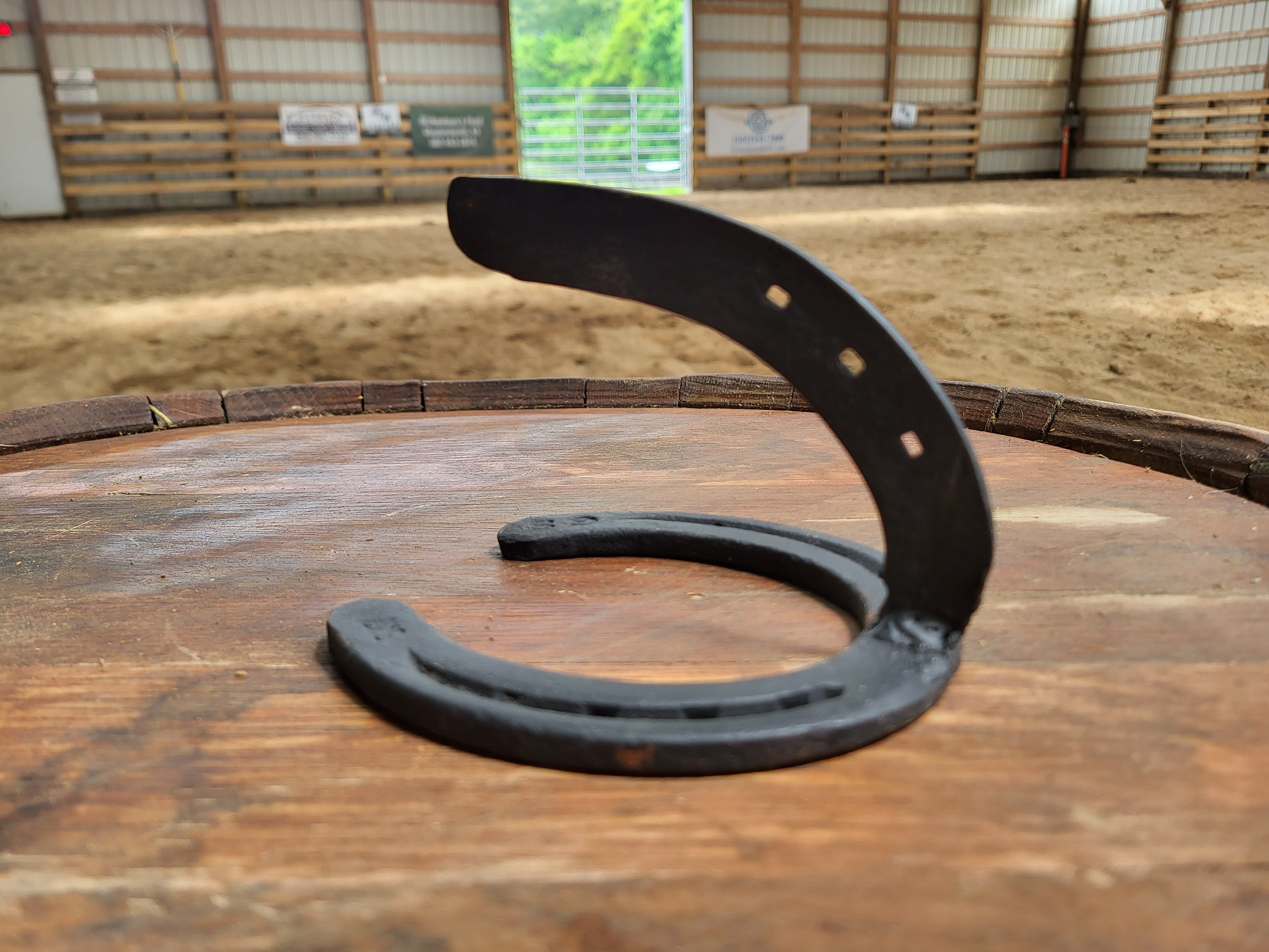 Horseshoe Hook